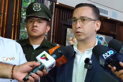 Presidente del TSJ: Acción popular busca dejar sin efecto sentencia del Mutualista