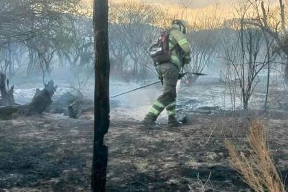 Cochabamba: Incendios forestales se disparan en cerca del 180% en comparación con el 2025