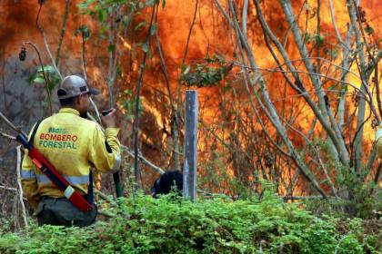 Los incendios forestales devastan áreas protegidas del oriente de Bolivia pese a lluvias