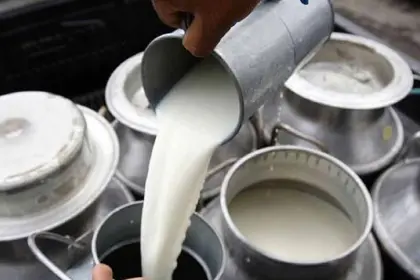 Fedeple plantea que el precio de la leche se defina por la oferta y la demanda; esperan reunión con ministros