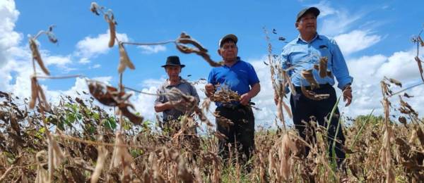 Los productores lamenta que la sequía provocó la perdida de sus cultivos. 