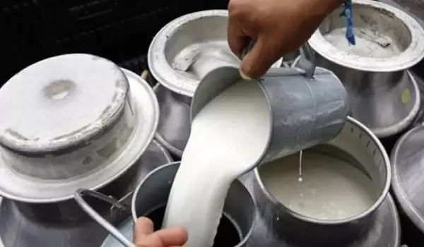 Lecheros exigen levantar franja de precios que rige desde el 2012 y señalan que la producción cayó casi el 30% en cinco años