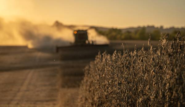 Anapo: Agro requiere 70 millones de litros de diésel hasta diciembre para la campaña de verano