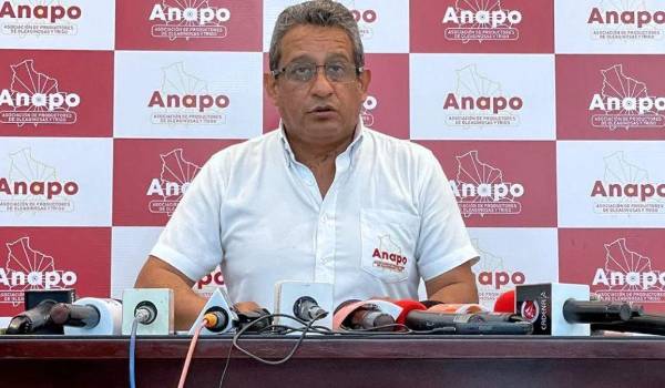 Ante el déficit, Anapo urge al Gobierno activar un plan nacional de trigo e impulsar la biotecnología