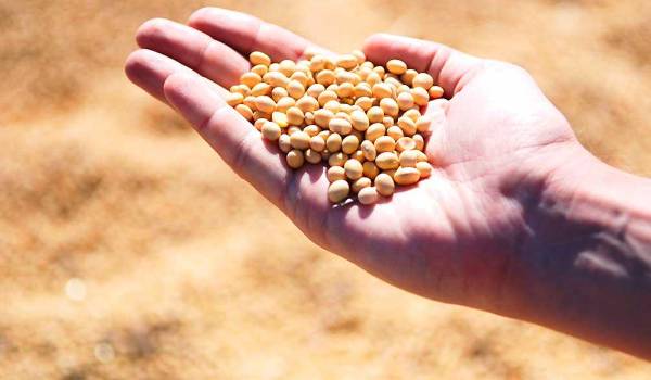 Productores de San Julián se declaran en emergencia, exigen “liberar” biotecnología y rechazan el “arancel cero” para la importación de la soya