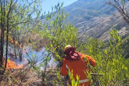 Incendios forestales: Gobierno activa alerta roja en cuatro municipios y alerta naranja en 80 municipios 