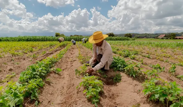 Confeagro pide a Rodrigo Paz promulgar la ley que permite convertir pequeña propiedad en mediana