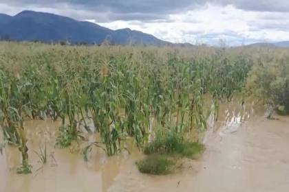 Las lluvias han afectado caminos y varios cultivos de los municipios de Tarata y Arbieto