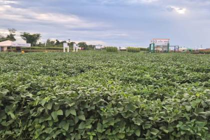 Arranca Exposoya 2025 en Cuatro Cañadas con lo mejor del campo y la tecnología para el agro