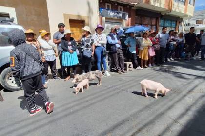 Porcinocultores de Cochabamba protestaron en puertas de Emapa exigiendo alimento subvencionado