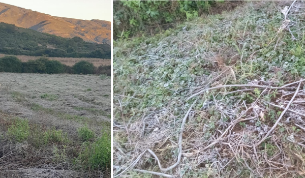 Vallegrande registra su primera helada del año con temperaturas por debajo de los cero grados