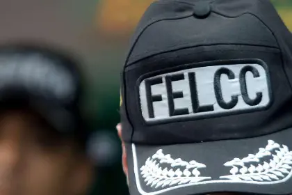 Una mujer de 77 años salió a pasear con su perro y días después fue hallada muerta; la mascota no se apartó de ella