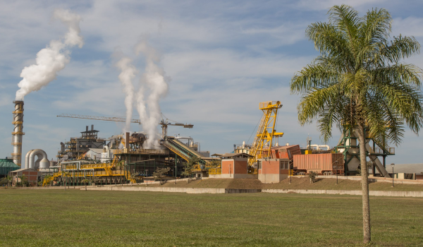 Pese a las dificultades en la zafra, ingenios azucareros empiezan a reflejar récords de producción
