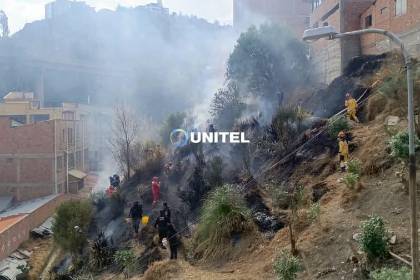 La Paz: Incendio forestal estuvo a punto de afectar viviendas en Huanuhuanuni