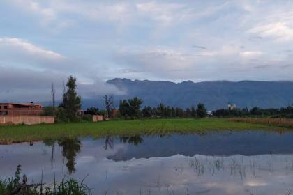 Intensas lluvias también inundaron cultivos en Quillacollo, productores se ven afectados