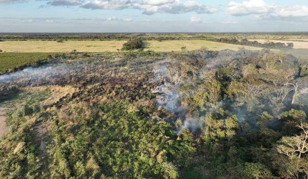 Incendios forestales golpean a Tarija y Santa Cruz en plena alerta roja por fuertes vientos