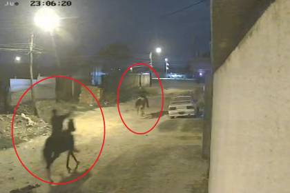 Video: Delincuentes se roban tres caballos y huyen cabalgando en los animales