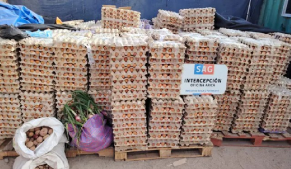 Chile reporta el decomiso de 1 millón de huevos de contrabando que salieron de Bolivia entre enero y junio