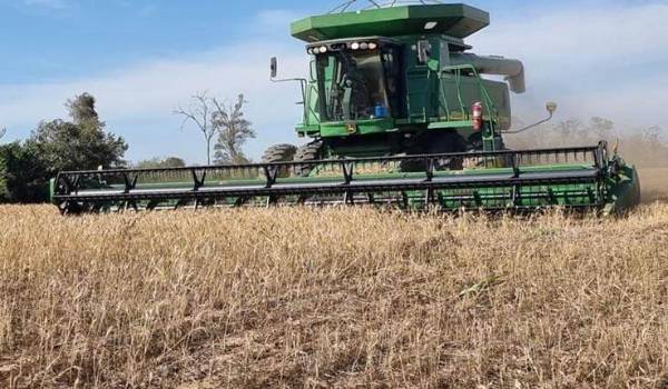 Agropecuarios de Cochabamba denuncian que tienen que comprar el litro de diésel hasta en Bs 18 en el ‘mercado negro’