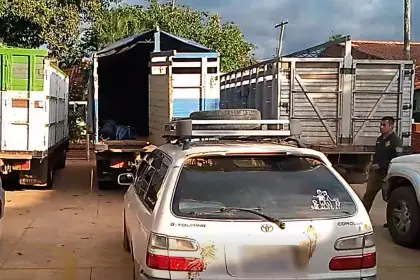 Avasallamiento en menonitas en San Ignacio: hay 61 aprehendidos y 12 vehículos detenidos