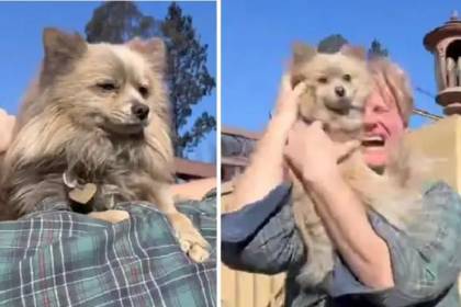 Video: El emotivo reencuentro de un hombre y su perro que desapareció en los incendios de Los Ángeles 