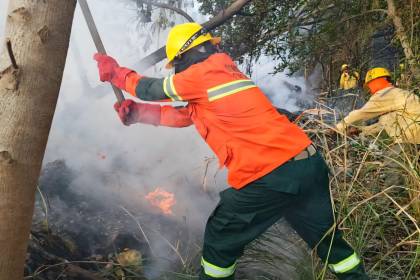 “No hay necesidad”: Gobierno no pedirá ayuda internacional para enfrentar incendios forestales