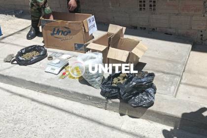 La Paz: Hallan en una vivienda cuatro tipos de droga y un hongo del “que se desconoce su uso”