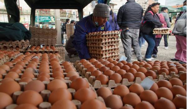 Santa Cruz produce el 60% de los 2.700 millones de huevos que se dan cada año en Bolivia, según ADA