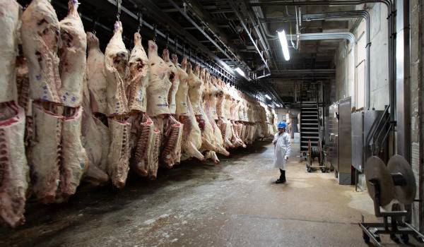 Canciller de Chile dice que la carne boliviana no solo puede llegar a su país, sino al resto del mundo