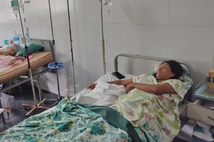 Al menos 14 bebés nacieron en esta Navidad en el eje central 