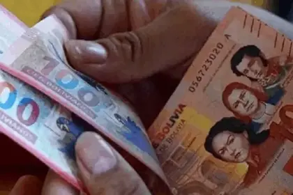 Bono Pepe se comienza entregar en enero ¿es solo un pago o son tres?, te despejamos dudas