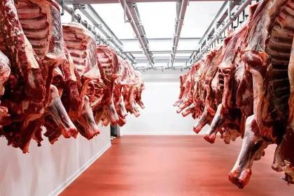Misión llegó al país para revisar cumplimiento de recomendaciones para exportar carne a Chile