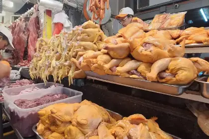 Sin diésel para sacar el pollo de granja: El precio cae en mercados y el sector avícola reporta pérdidas millonarias