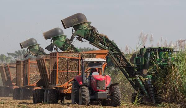 Pese a la crisis y los factores climáticos, Santa Cruz es la región que más aporta a la economía de Bolivia