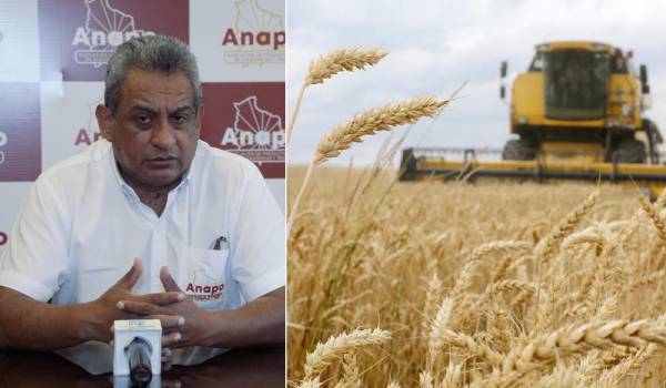 “Desabastecimiento total de diésel”: Anapo alerta riesgo de pérdida 2,5 millones de toneladas de granos estratégicos