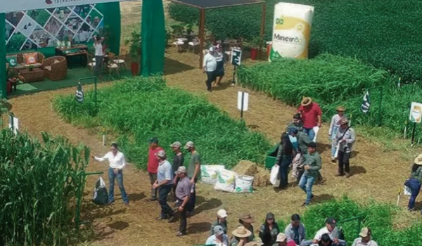 Exposoya 2026, el evento que impulsa la producción sostenible, abre sus puertas este viernes
