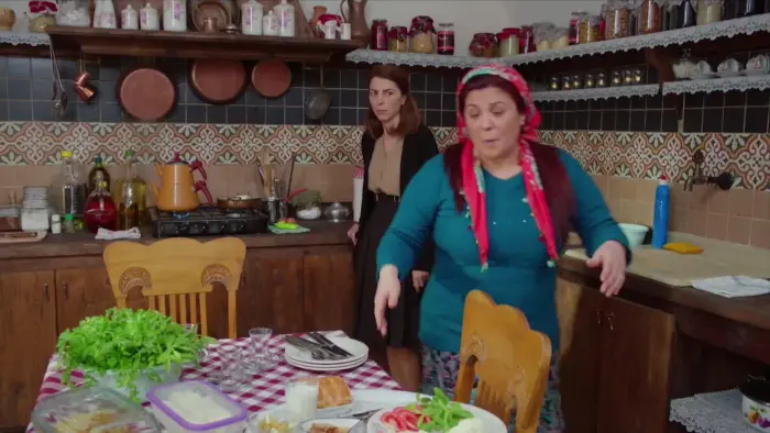 Capítulo de Hercai 27