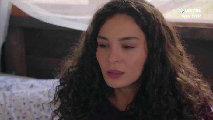 Hercai capítulo 219
