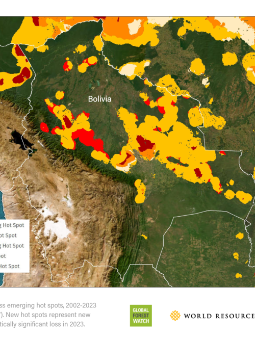 Nuevos focos de pérdida de bosques en Bolivia en zonas arrasadas por incendios.