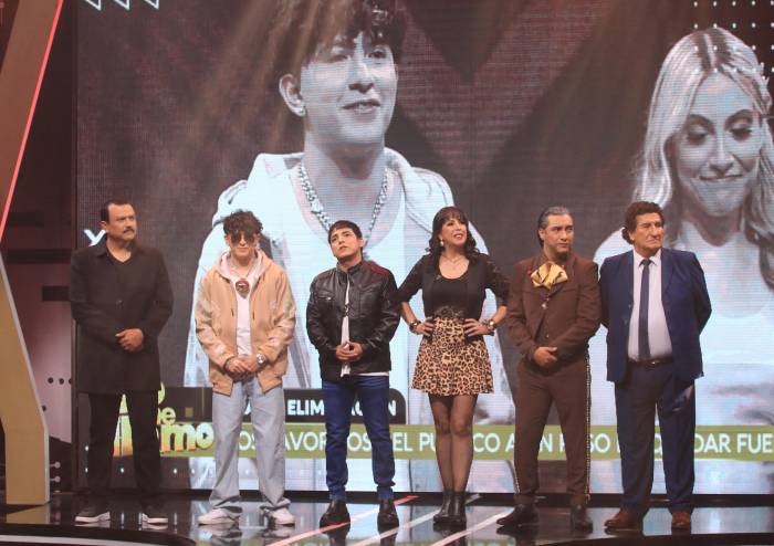 Nominados: vuelven dispuestos a darlo todo para quedarse