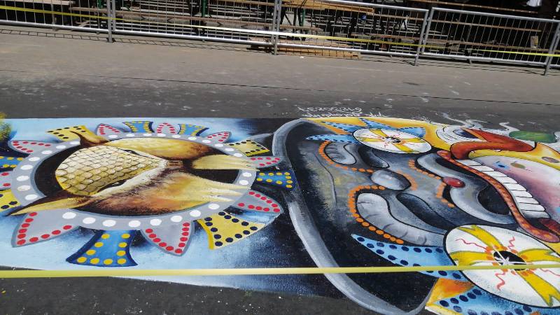 La imagen de un quirquincho y un moreno.