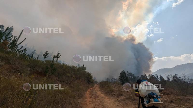 Combate del incendio en Pocona.