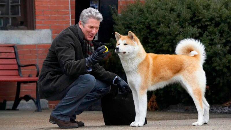 La película más famosa de Hachi fue protagonizada por Richard Gere