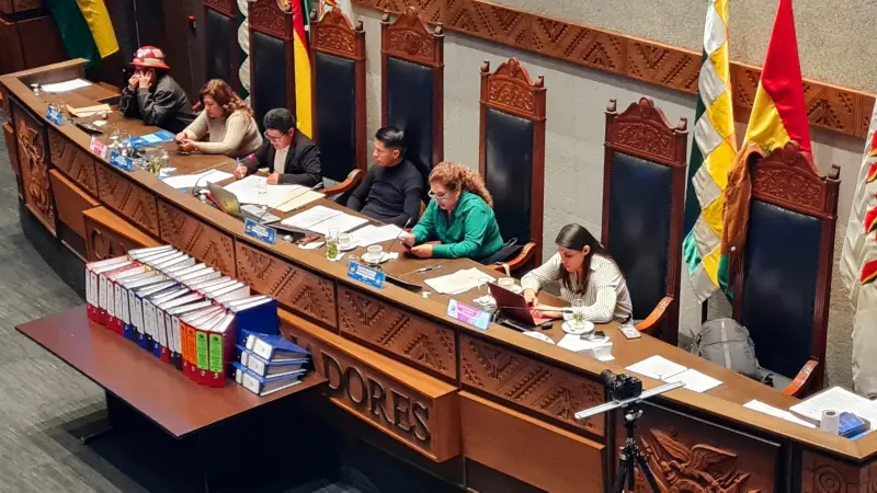 La investigación se presentó en 40 archivadores ante el Senado.