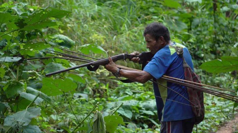 Los tsimanes cazan gran parte de lo que consumen