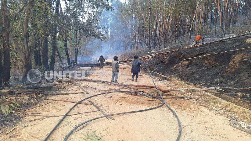 Incendio en Pocona, en el Cono Sur de Cochabamba