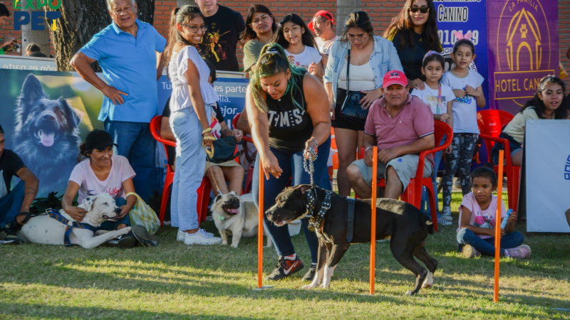 Expopet tendrá una agenda enfocada en las familias y en las mascotas