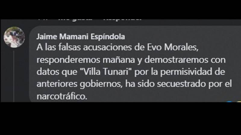 El viceministro Mamani se refirió a las acusaciones de Morales en un comentario en Facebook.