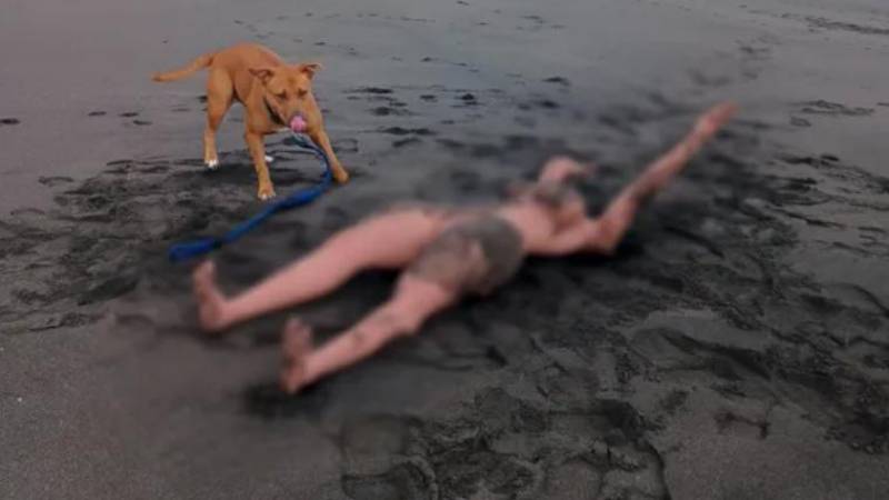 La muñeca en medio de la playa 