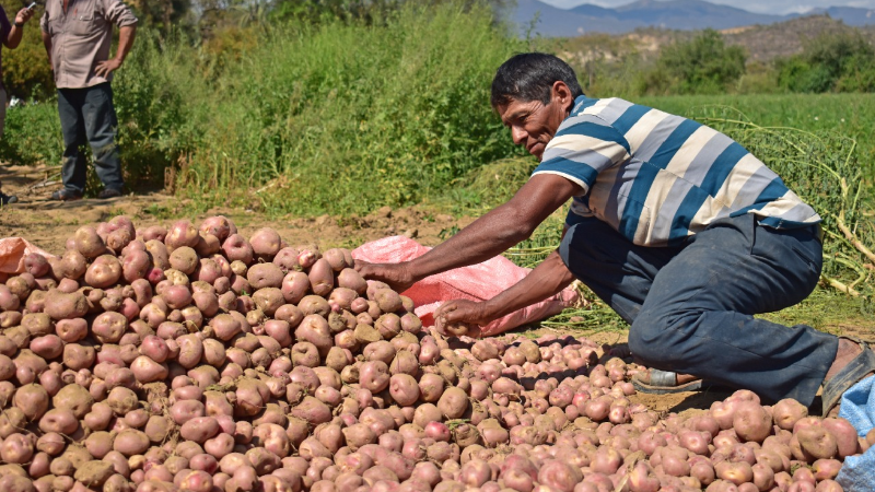 Según Arce, la tierra deber ser para quien la trabaja